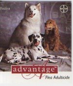 ADVANTAGE
