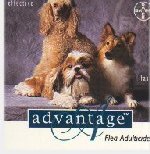 ADVANTAGE