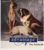 ADVANTAGE